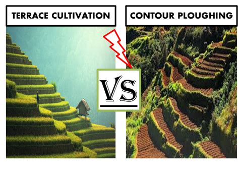 Difference between contour ploughing and terrace cultivation. | BahotGyan