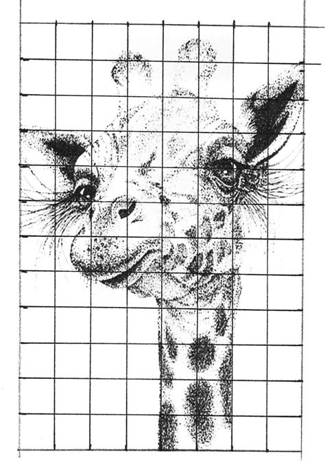 Art Grid Drawing Worksheets | Art worksheets, Animal art projects, Drawings