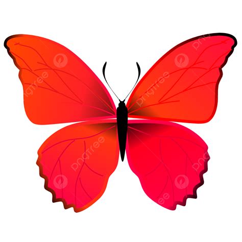 Beautiful Butterfly Clipart Transparent PNG Hd, Beautiful Red Butterfly Illustration Vector ...
