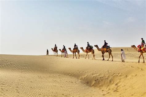 Overnight camel safari Jaisalmer India that I did in Thar Desert 🐪 WHAT ...