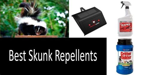 How to Pick a Skunk Repellent: 4 Best Repellents to Keep Skunks Away