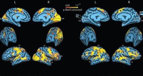 Human Echolocation: How The Blind Can "See"