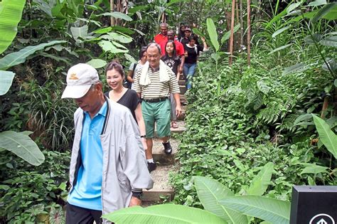 Taman Tugu offers a cooling hiking spot in the heart of KL | The Star