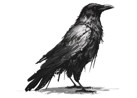 black crow is a bird of prey. flat vector illustration. 18722775 Vector ...