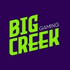 BigCreekGaming | 5 Followers | Game Streamers | Loco