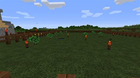 Why won't dark oak saplings grow? - Discussion - Minecraft: Java Edition - Minecraft Forum ...