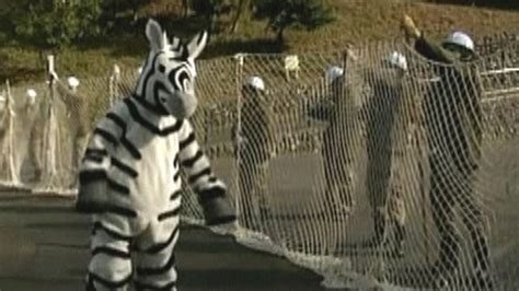 'Zebra' attacks worker in emergency drill | Fox News Video