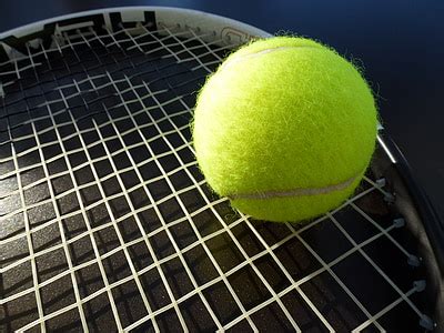 Free photo: tennis, ball, sport, yellow, tennis Ball, playing, racket | Hippopx