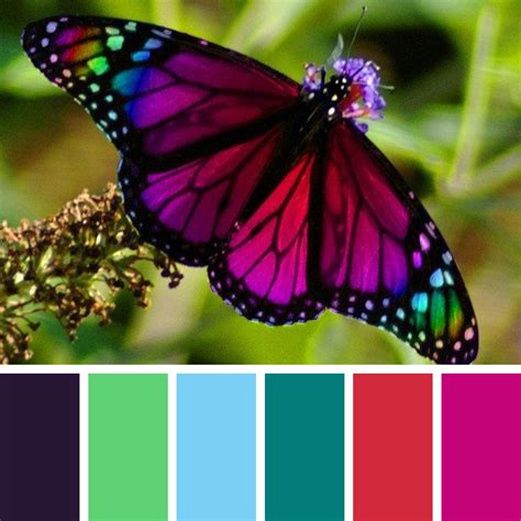 Butterfly Color Palette | Color palette, Color palette design, Nature color palette