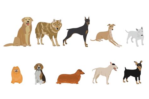 Set Of Dog Breeds On White Background Dog Vector Mammal Vector, Dog, Vector, Mammal PNG and ...