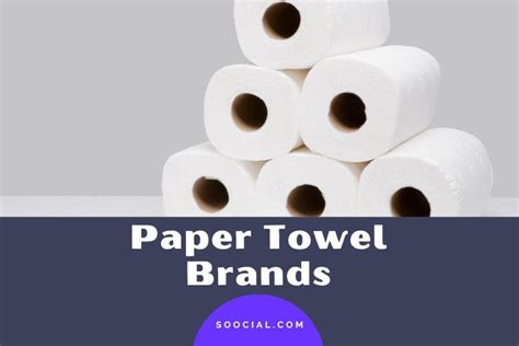 17 Paper Towel Brands To Help You Tidy Up In No Time - Soocial