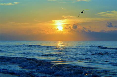 Ocean Breeze Photograph by Cynthia Covington - Fine Art America