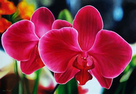 How To Care For Orchids Flower - InspirationSeek.com