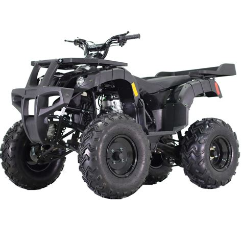 Buy X-PRO Adult ATV Quad Four Wheelers 250 Utility ATV Full Size ATV ...