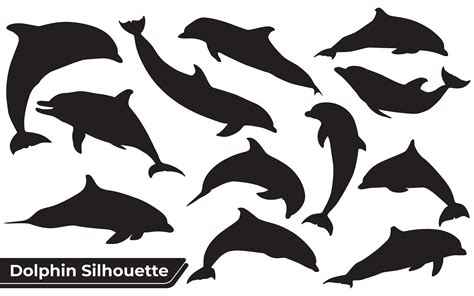 Dolphin Silhouette