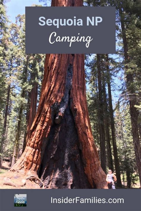 Sequoia National Park Camping | Insider Families