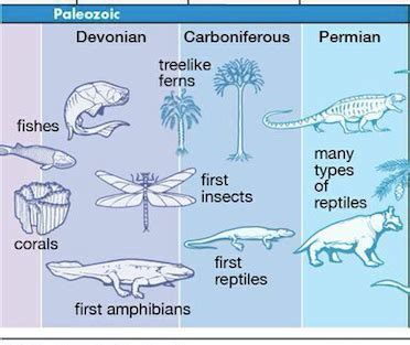 Paleozoic Animals List