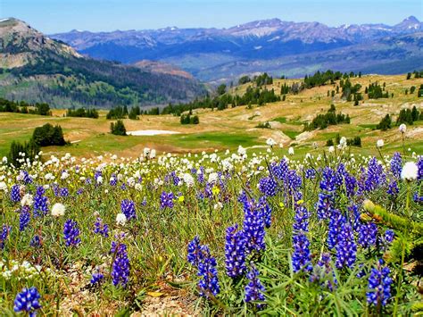 Custer Gallatin National Forest - National Forest Foundation