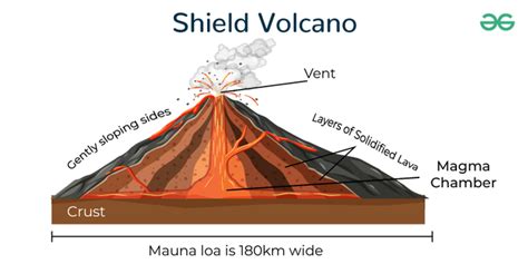 Shield Volcano: Definition, Examples, characteristics, Digram