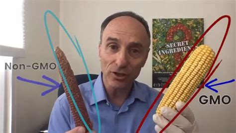 Farmer Conducts Experiment Using GMO and Non-GMO Corn, Discovers Sobering Truth That Animals ...