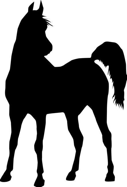 Horse Wall Stencils | Horse silhouette, Horse stencil, Silhouette art