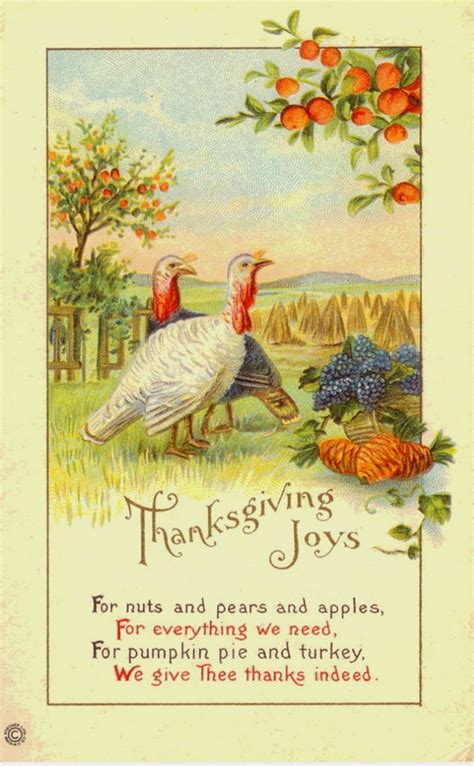 25 Colorful Vintage Thanksgiving Turkey Postcards ~ Vintage Everyday