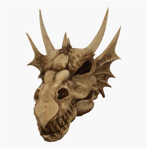 Dragon Skull Png - Transparent Dragon Skull Png, Png Download - kindpng