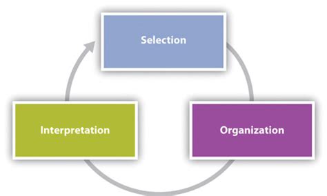 2.1 Perception Process – Interpersonal Communication Textbook