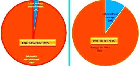 More than 90% of Bangalore's lakes are polluted or encroached| India Water Portal