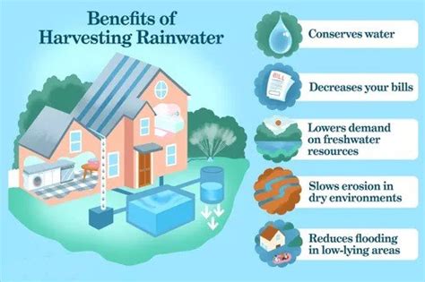 The Benefits of Rain Water Harvesting: Save Money and Conserve Water | Rainyfilters