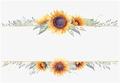 Download Sunflower Border Png - Transparent Sunflower Border Clipart | Transparent PNG Download ...