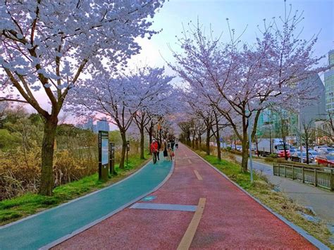 Best 4 Things to Do at Olympic Park Seoul