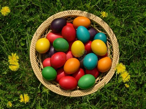 Easter Egg Basket stock photo. Image of holiday, eggs - 8613472