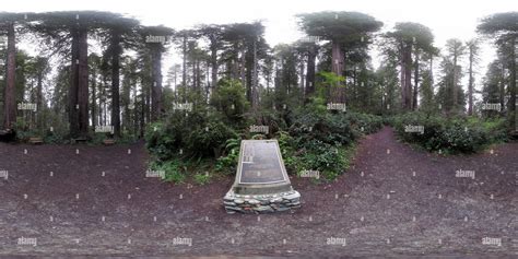 360° view of Lady Bird Johnson Grove dedication site - Alamy