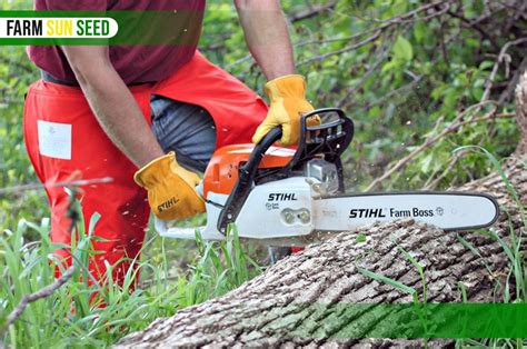 Stihl MS 271 Review: Is it worth buying in 2024?