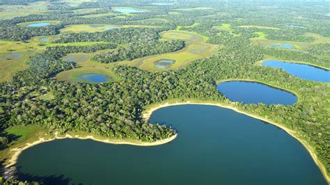 Pantanal holidays, Brazil - Steppes Travel