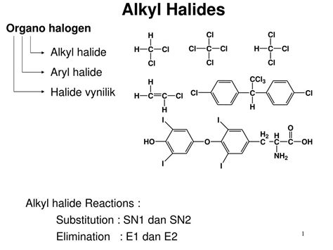 PPT - Alkyl Halides PowerPoint Presentation, free download - ID:2027688