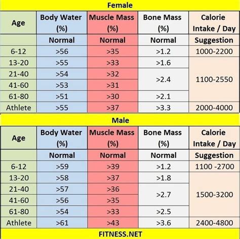 Pin by Tiffany Stuckey on Health & Fitness | Body fat percentage chart, Muscle mass, Body fat ...