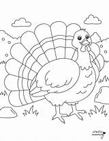 Free Turkey Coloring Pages To Print sketch template