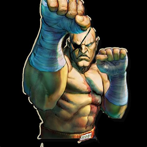 Sagat | Street fighter characters, Street fighter, Sagat street fighter