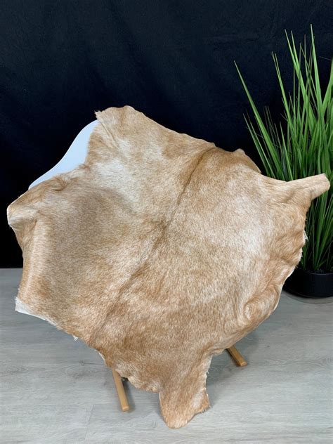 Goat Rug Pelt Hide Real Goat Skin Rug Genuine Natural Goat - Etsy