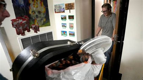 Some UW-Milwaukee dorms lack AC, making move-in challenging