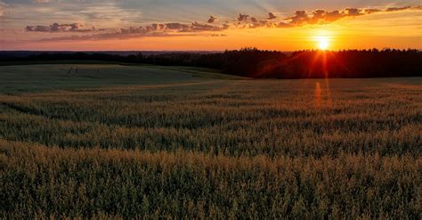 Beautiful Sunset over a Grass Field · Free Stock Photo