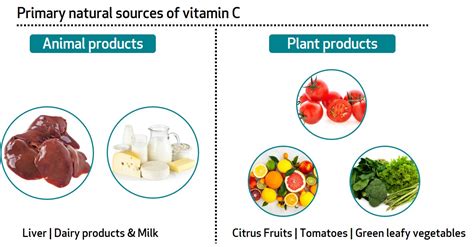 Benefits Of Vitamin C And Zinc | Sources Of Vitamin C | Bioanalyt