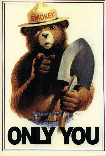 Smokey The Bear Quotes - ShortQuotes.cc