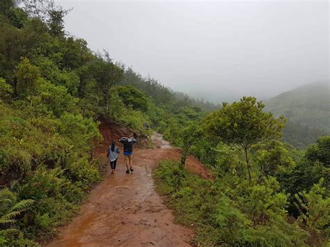 Tadiandamol Trek Guide, Kakkabe, Coorg - Trekkerpedia