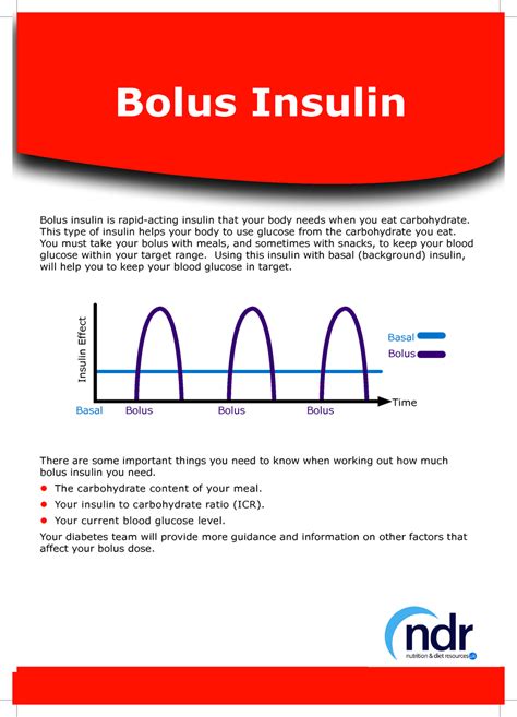 Bolus Insulin | Nutrition and Diet Resources