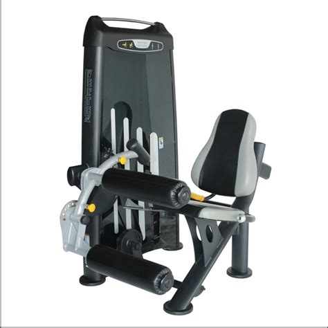 EWS 144 Seated Leg Curl Machine at best price in Agartala by Tele Fitness Zone | ID: 21978965255