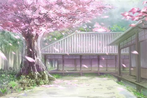 Cherry Blossom Anime Scenery, anime blossom tree HD wallpaper | Pxfuel