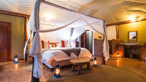 Where to stay & lodges in Kafue National park — Gorilla treips in Rwanda